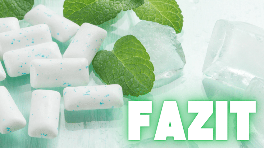 Fazit: Welche Bio-Kaugummis ohne Plastik sind am besten?
