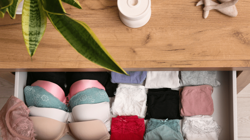 Nachhaltige Unterwäsche ist heute erstaunlich vielseitig und weit mehr als schlichte Unterhosen und T-Shirt-BHs