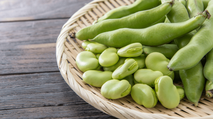 Woraus besteht veganer Fischersatz?