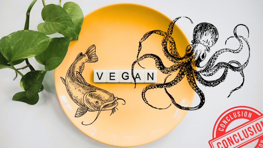 Fazit vegane Fischersatzprodukte | Die Auswahl ist größer, aber der Einsatzzweck entscheidet