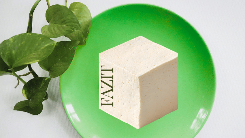 Fazit | Tofu ist deutlich besser als sein Ruf