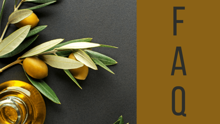 FAQ, wichtige Fragen und kurze, faktenbasierte Antworten zur Bedeutung von Polyphenolen speziell in Olivenöl