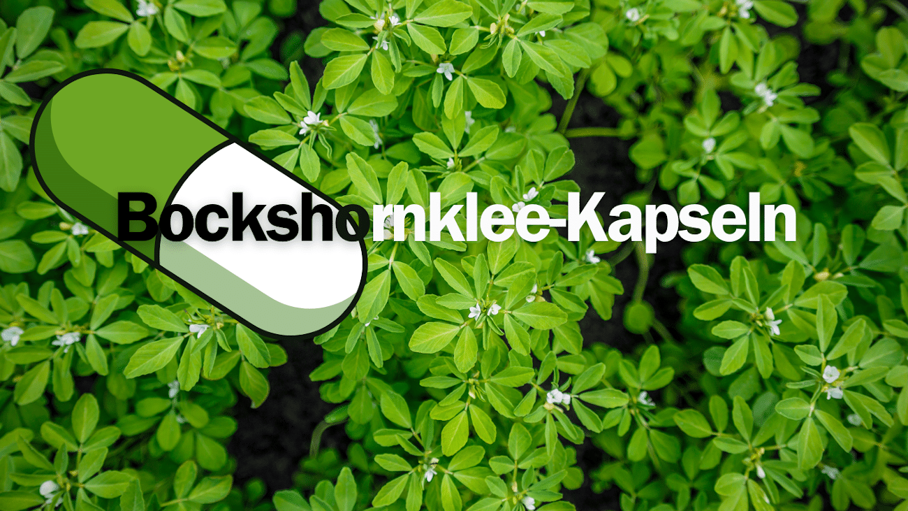 Die besten Bockshornklee-Kapseln
