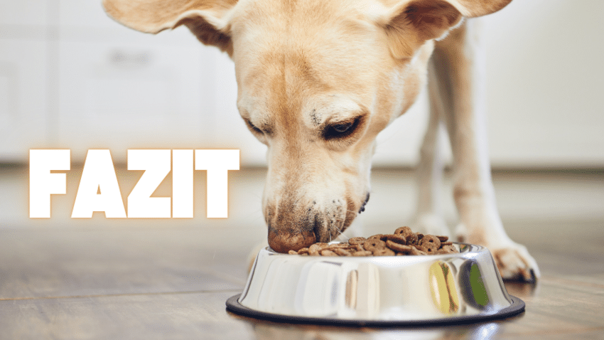 Fazit Purinarme Ernährung Hund