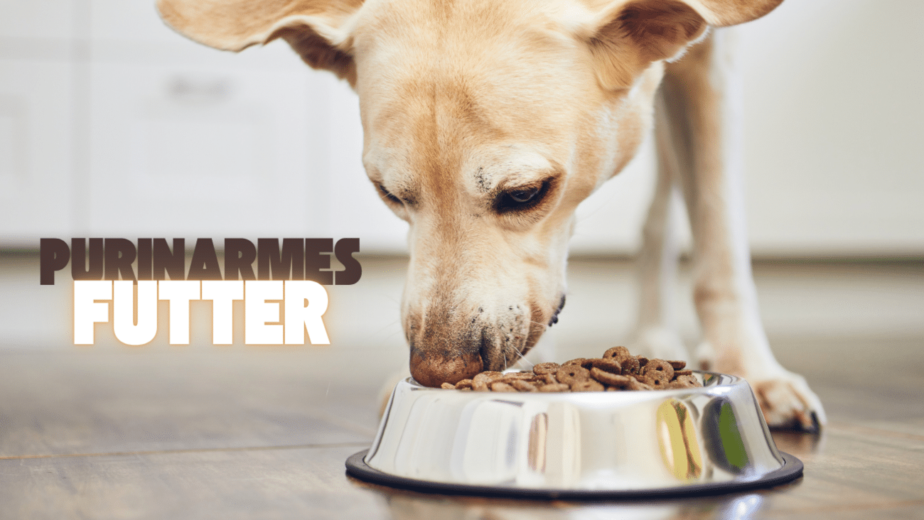 Purinamre Ernährung für Hunde