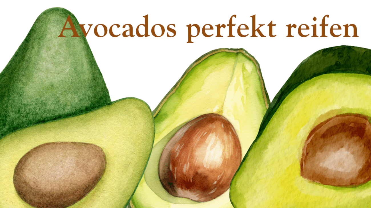 Avocados reifen lassen mit der Avocado Socke