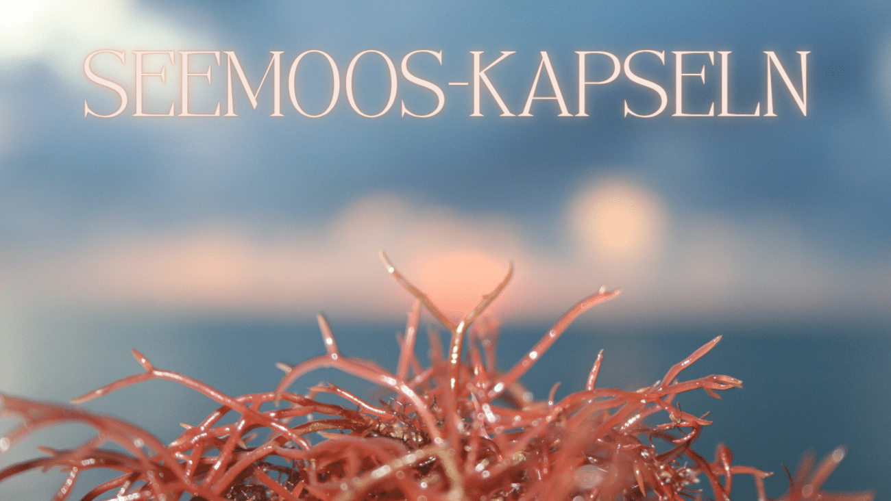 Alles Wichtige zu Seemoos-Kapseln