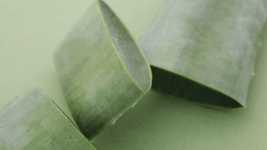 Was zeichnet Aloe Vera Saft in Bio-Qualität aus?