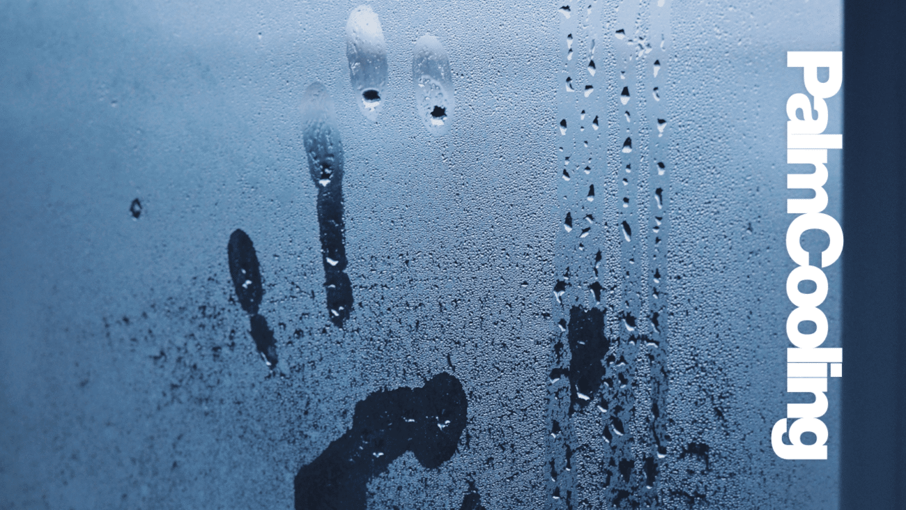 Alles Wichtige zu Palm Cooling – kurz, wissenschaftlich, verständlich