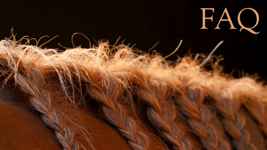 Die wichtigsten FRagen (FAQ) und Antworten zum Thema Pferdehaar Matratzen