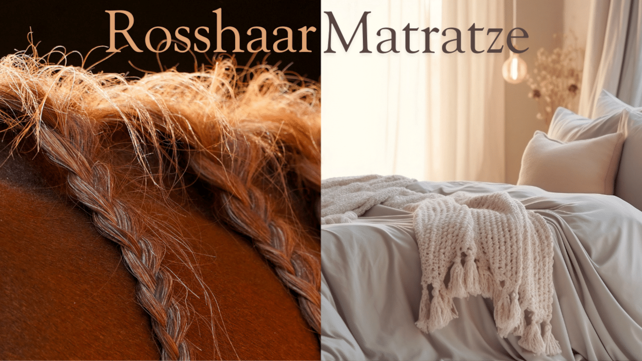 Alles Wichtige zu Rosshaarmatratzen: Vergleich, Shop-Empfehlung, Erfahrungen + wichtige Tipps