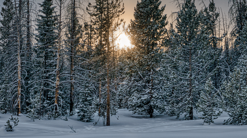 Balaclavas sind perfekt für kalte Wintertage