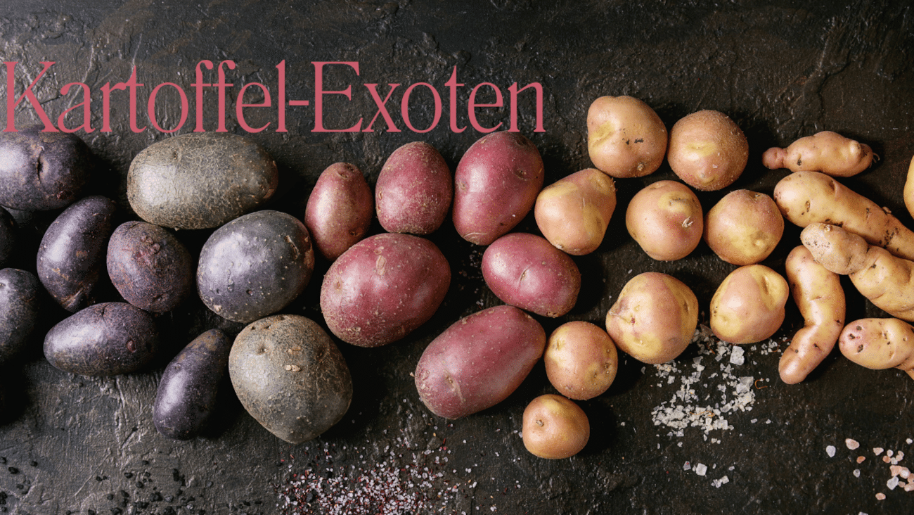 Exotische, Seltene Kartoffelsorten aus regionalem und Bio-Anbau online kaufen