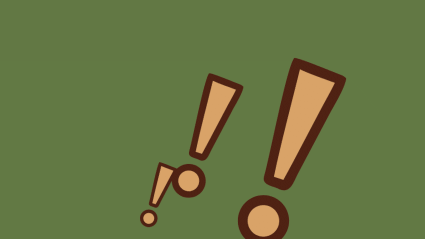 Warum Schokolade aus ganzer Kakaofrucht (hoffentlich) kein kurzfristiger Trend ist