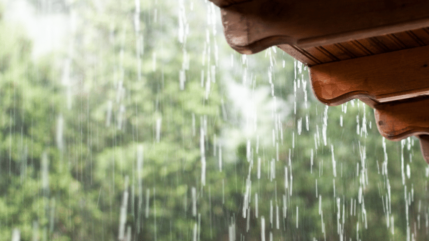 Technische und ökologische Herausforderungen von Moosbeton