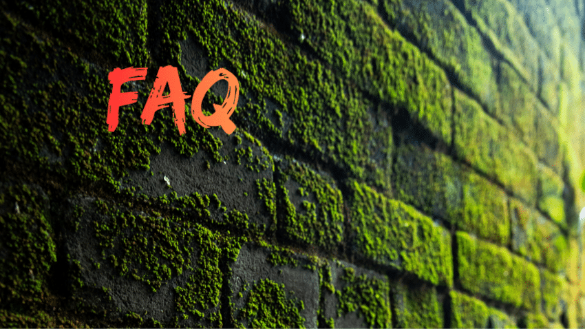 die wichtigsten Fragen und Antworten zu Moosbeton, FAQ