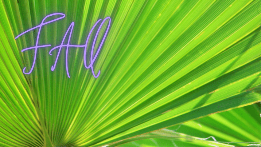 Können Marken bei Amazon überhaupt nachhaltig sein? Gibt es überhaupt welche dort? Antworten hier.