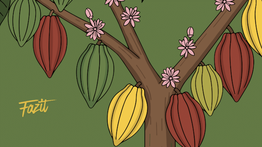 Fazit zur Nutzung der Kakaofrucht in Schokolade