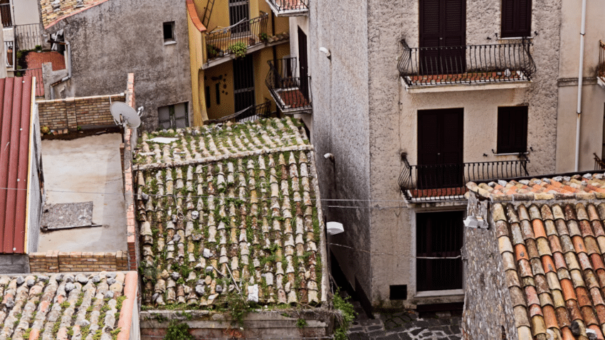 Der Unterschied zwischen Mooszement und Moosbeton