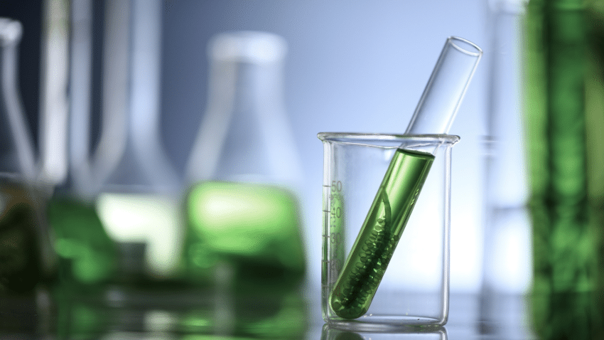 Aktueller Forschungsstand und Unternehmen im Bereich Moosbeton