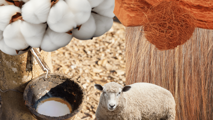 Die wichtigsten Naturmaterialien für Bio-Futon-Matratzen