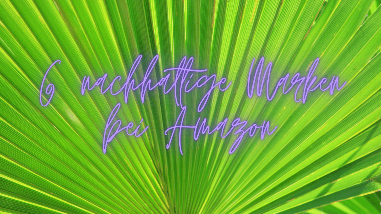 Nachhaltige Basics für Frauen bei Amazon | 6 faire Marken im Vergleich