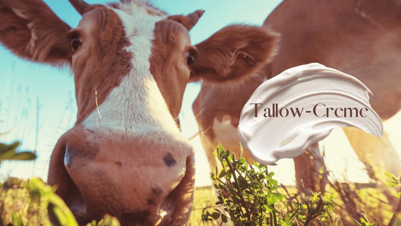 Die wichtigsten Fragen und Antworten zur Anwendung von Tallow/Rindertalg bei sehr trcokener Haut