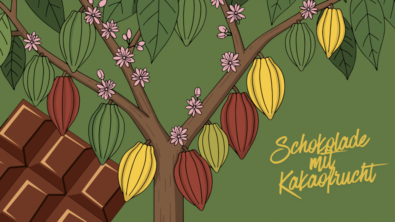 Empfehlung: Nachhaltige Schokolade mit 100% Kakaoanteil, mit Frucht, ohne Zucker