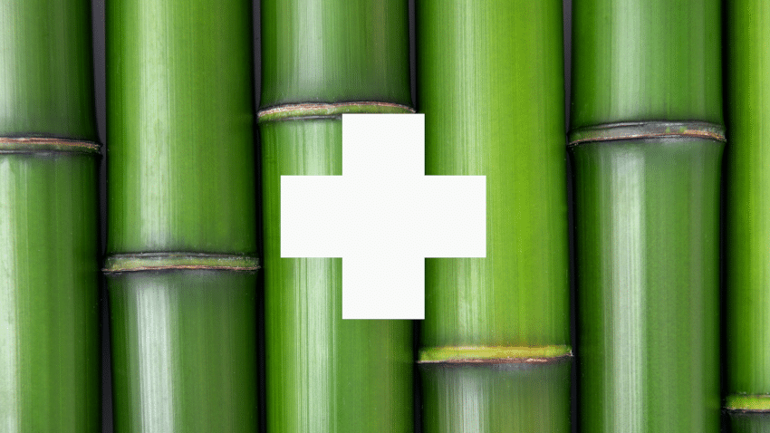 Die Vorteile von Bambus-Küchenrolle