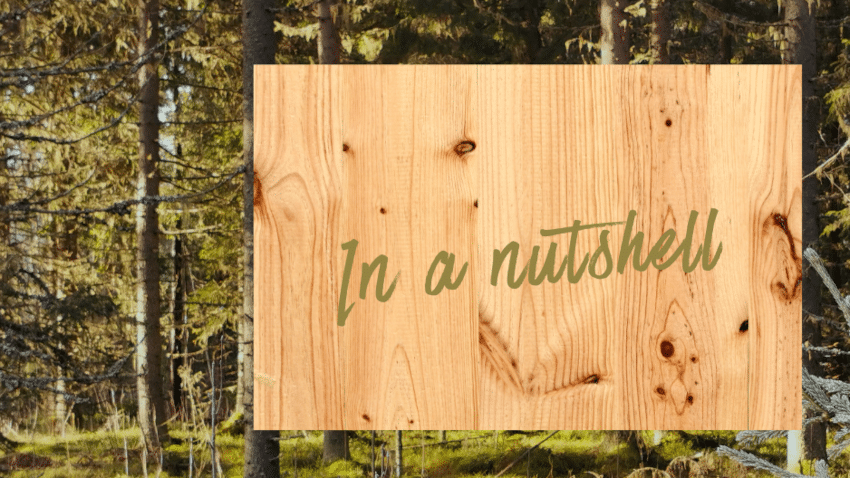 Fazit zur Nachhaltigkeit und zur Verwendung von Möbeln und Accessoires aus Zirbenholz