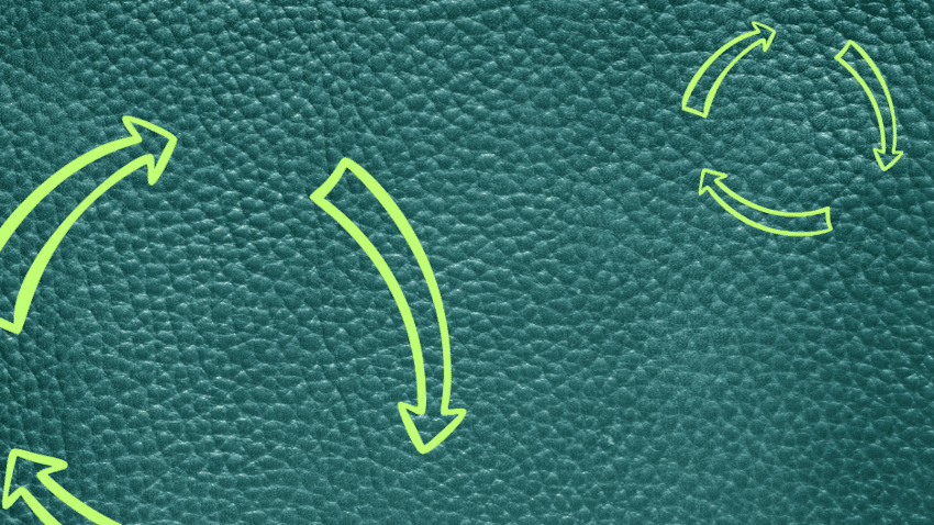 Die Bedeutung von Apfelleder für die Bioökonomie und die Kreislaufwirtschaft