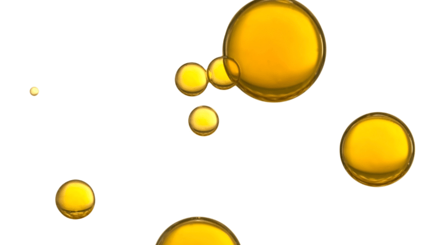 Dieser Absatz gibt Antwort auf die Frage, was Algenöl eigentlich ist und nimmt dabei die beiden wichtigsten Fettsäuren DHA und EPA in den Fokus