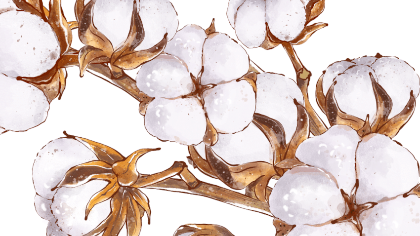 Nachhaltige Materialien + verantwortungsvolle Produktion