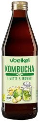 Bio Kombucha Ingwer Limette
