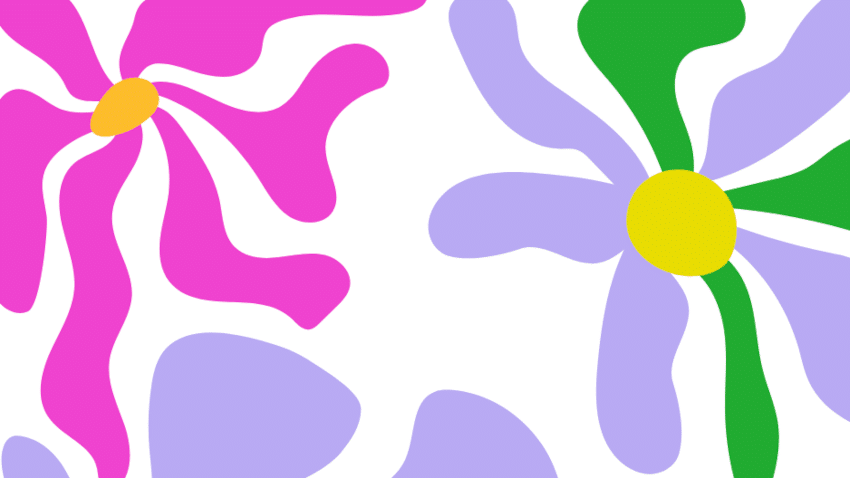 Pflanzenwelt als Inspiration für die neue Liv Lee x hessnatur Kollektion