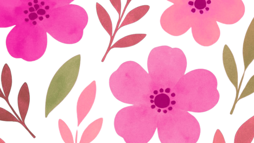 FAQ zur Liv Lee x hessnatur Kollektion