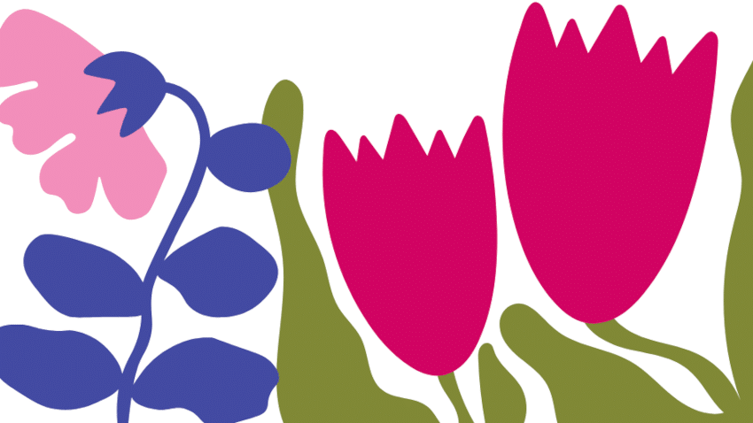 Für wen eignet sich die Liv Lee x hessnatur Kollektion?