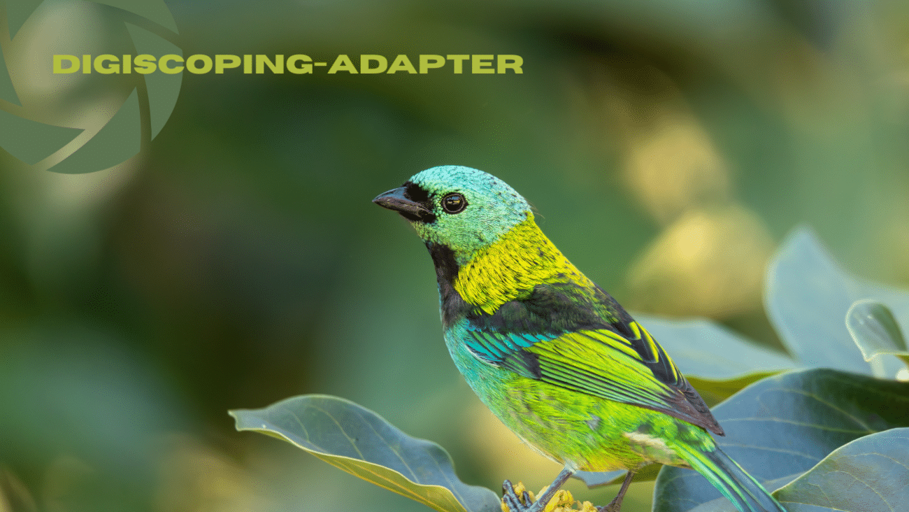 Smartphone am Spektiv | So findest du den richtigen Digiscoping-Adapter