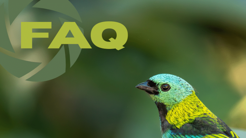 FAQ zu Digiscoping-Adapter