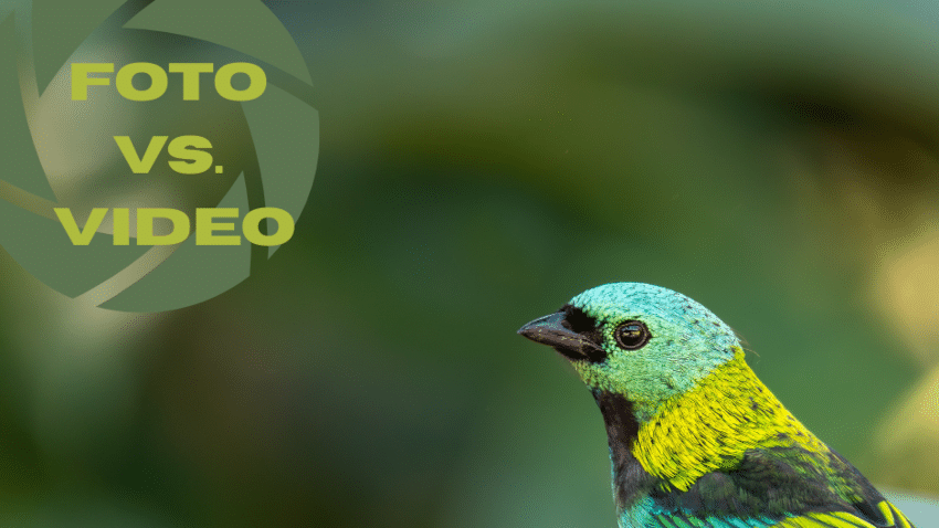 Foto vs. Video | Was technisch anders ist
