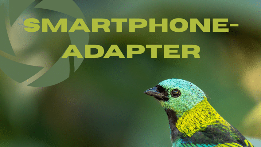 Welche Arten von Smartphone-Adaptern es gibt