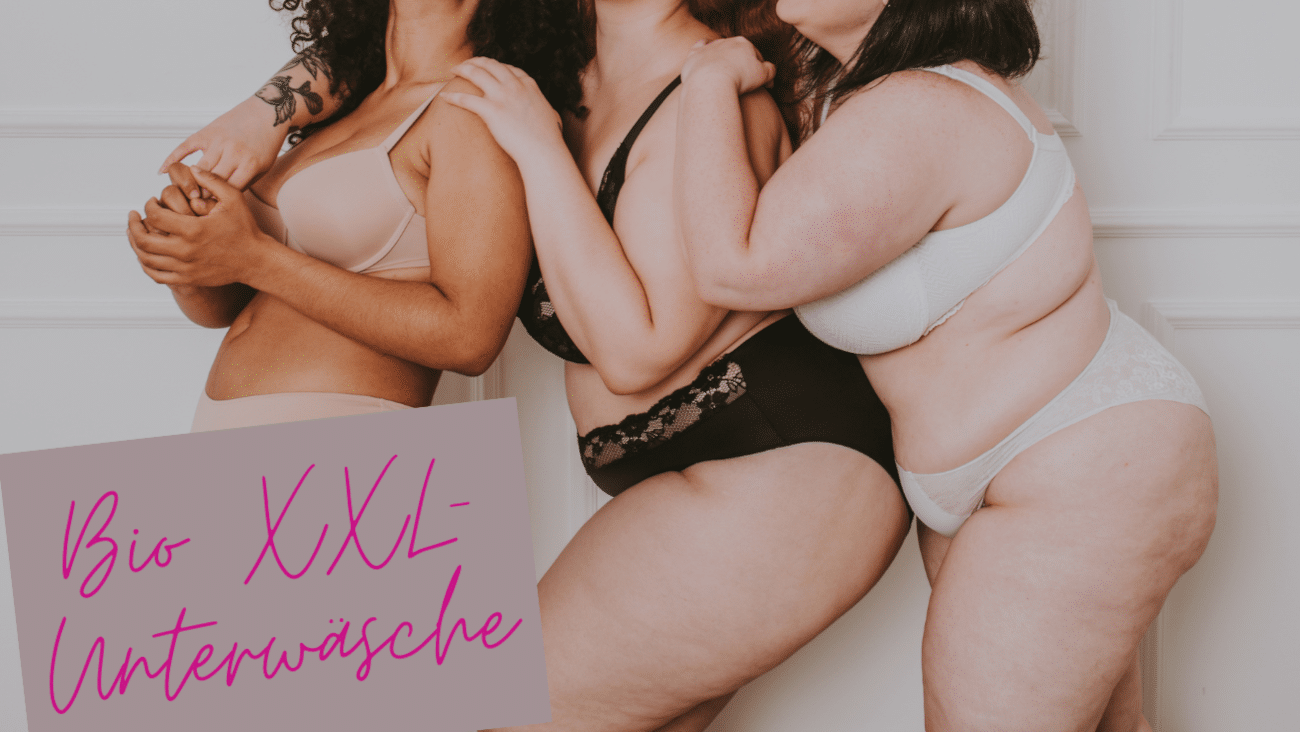 3 Shops mit nachhaltiger Unterwäsche in großen Größen im Vergleich