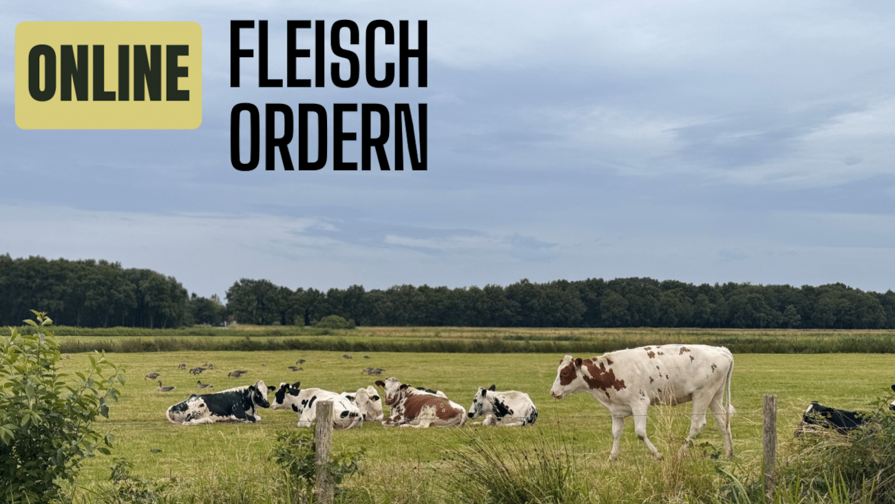 Fleisch online bestellen: Premium vs. regional – die 2 besten Anbieter im Vergleich