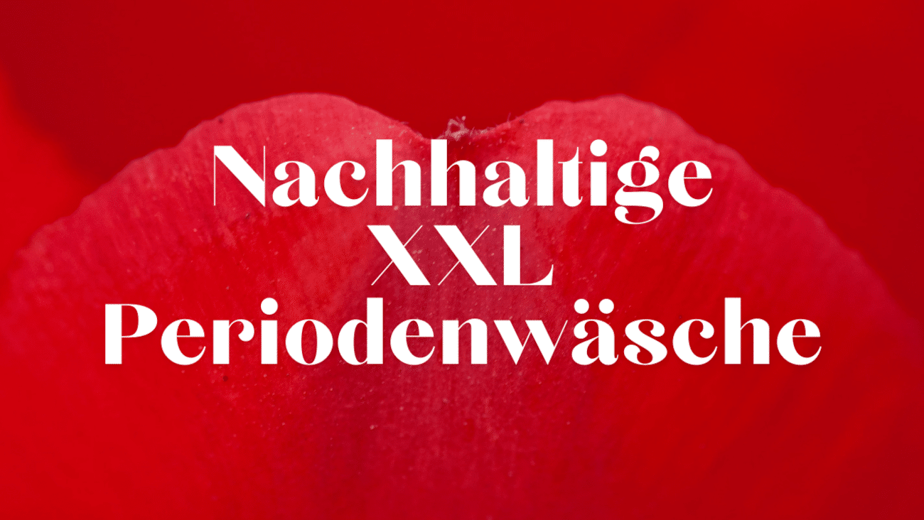 Nachhaltige Periodenunterwäsche in großen Größen | Die besten Modelle im Vergleich