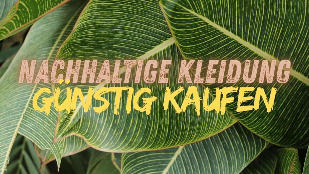 Nachhaltige Kleidung günstig kaufen: Outlet, Second Hand oder faire Basics?