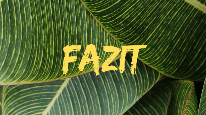 Fazit | Lohnt sich nachhaltige Kleidung günstig zu kaufen überhaupt?