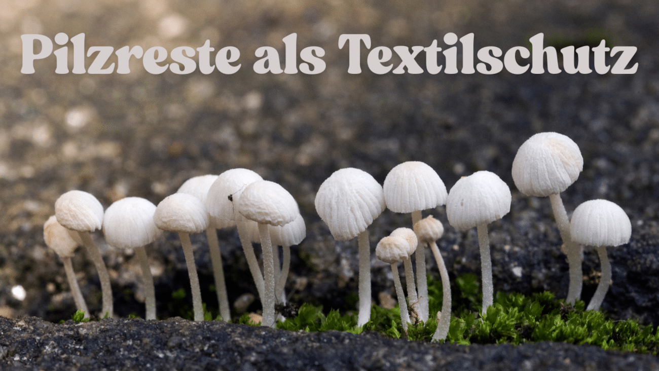 Pilzbasierte Textilbeschichtung | Wie Forschung aus Hof die Mode nachhaltiger machen könnte
