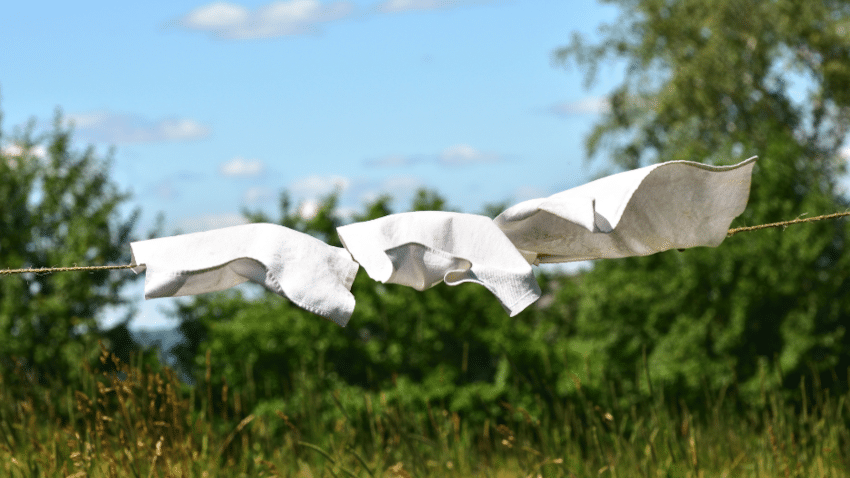 Nachhaltigkeit im Detail | Wo die Unterschiede liegen