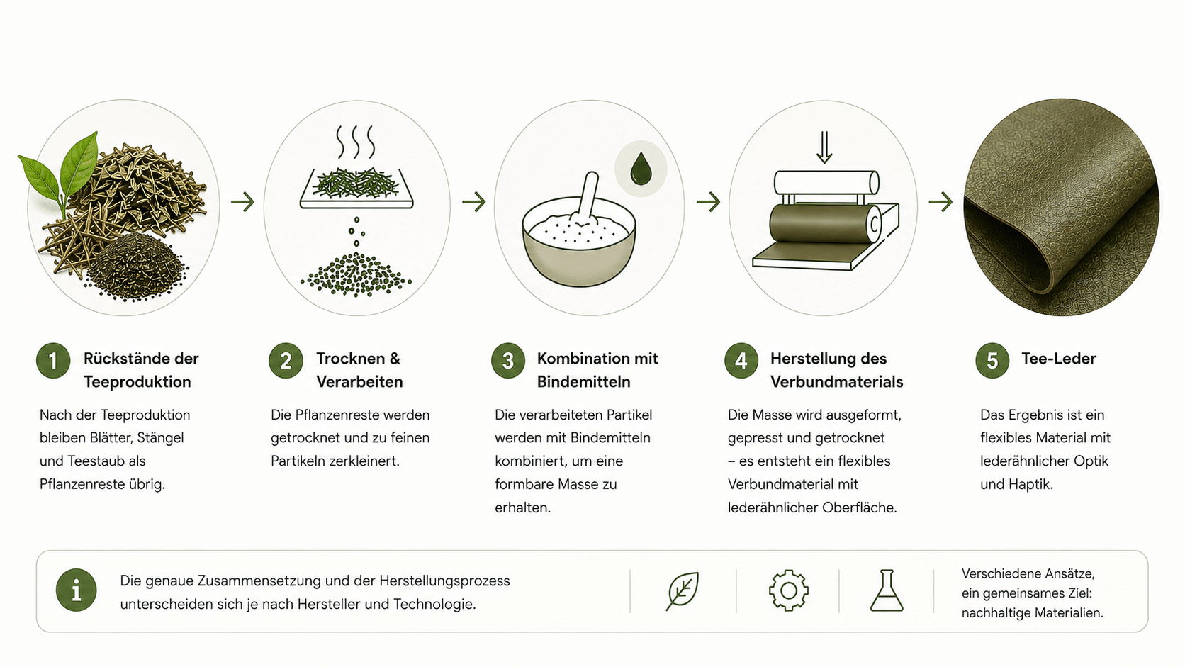 Wie wird Tee-Leder hergestellt? leicht verständliche Infografik
