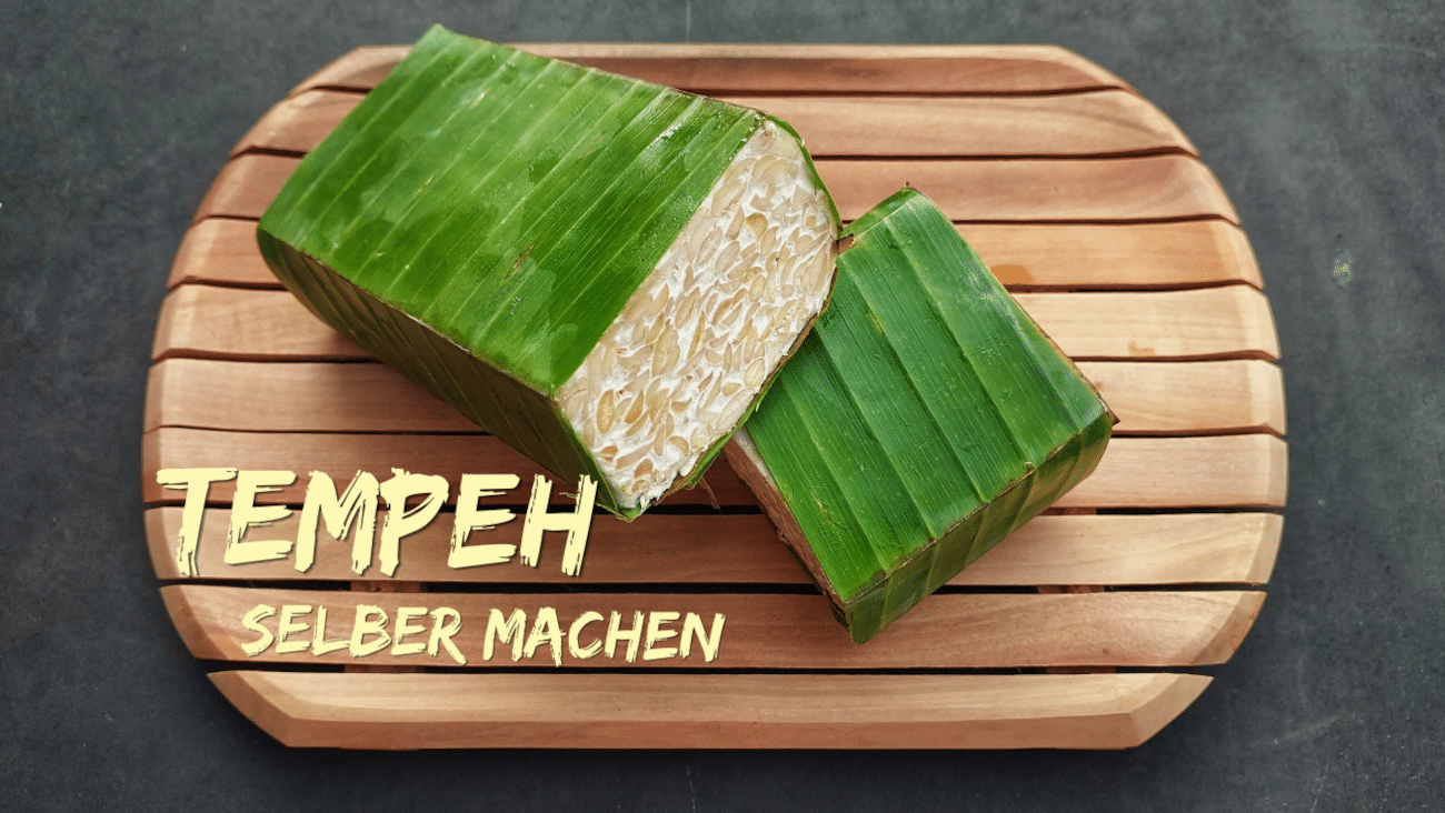Tempeh selber machen – Anleitung für Anfänger mit Fehler-Check